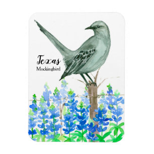 Texas Souvenir Bluebonnets Flowers Mockingbird Magneet