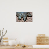 Texas spiny weekschildpad poster (Keuken)