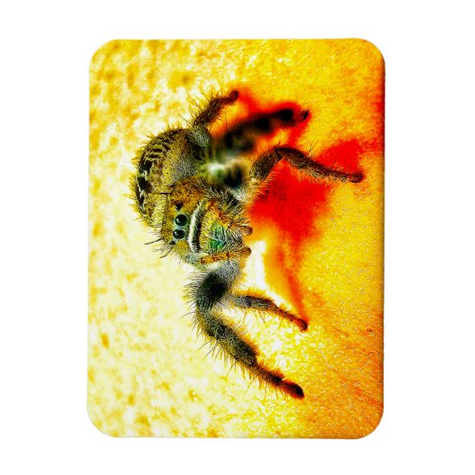 Texas springspin magneet (Verticaal)