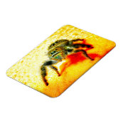 Texas springspin magneet (Linkerzijde)