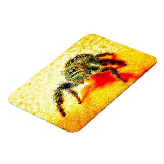 Texas springspin magneet (Linkerzijde)