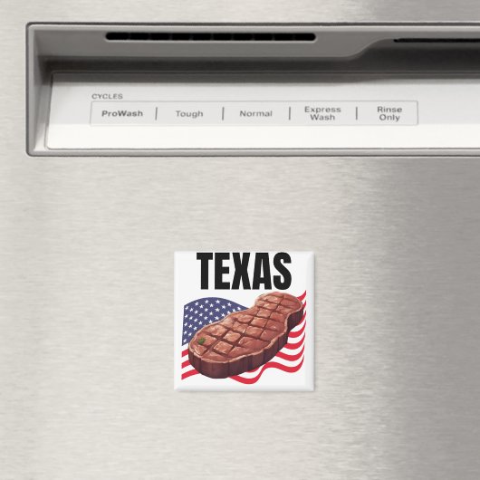 Texas Square Magnet (Insitu (Vaatwasser))