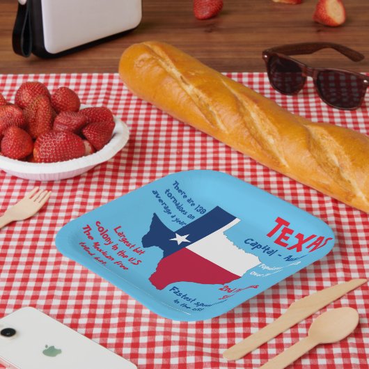 Texas Square Paper Party Bord Verbazingwekkende Fe (Picknick)