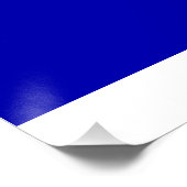 Texas Staatsvlag  Perfect Poster (Hoek)