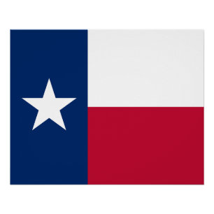 Texas Staatsvlag Perfect Poster