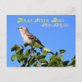 Texas State Bird - Northern Mockingbird Briefkaart (Voorkant)