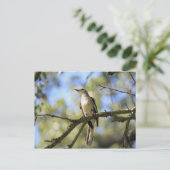 Texas State Bird Post Card Briefkaart (Staand voorkant)