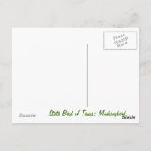 Texas State Bird Post Card Briefkaart (Achterkant)