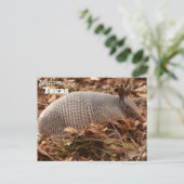 Texas State Briefkaart (Staand voorkant)