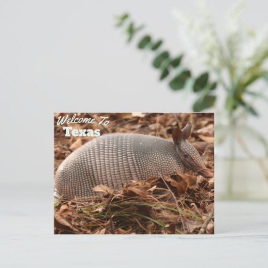 Texas State Briefkaart (Staand voorkant)