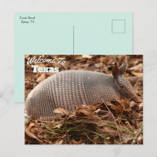 Texas State Briefkaart (Voorkant / Achterkant)