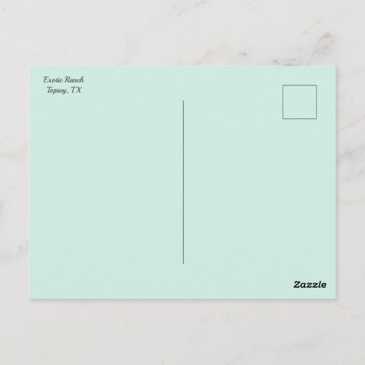 Texas State Briefkaart (Achterkant)