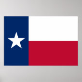 Texas State Flag Poster (Voorkant)