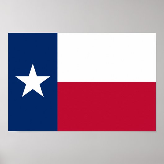 Texas State Flag Poster (Voorkant)