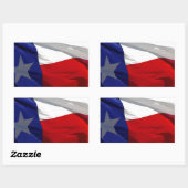 Texas State Flag Rechthoekige Sticker (Vel)