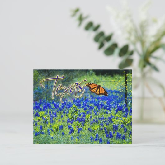 Texas State Flower - Bluebonnets Briefkaart (Staand voorkant)