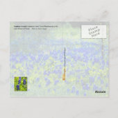 Texas State Flower - Bluebonnets Briefkaart (Achterkant)
