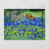 Texas State Flower - Bluebonnets Briefkaart (Voorkant)
