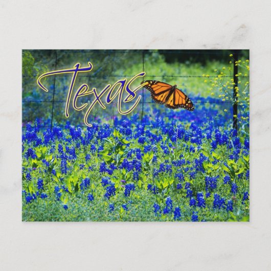 Texas State Flower - Bluebonnets Briefkaart (Voorkant)