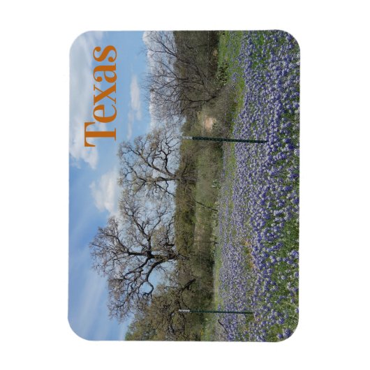 Texas State Flower Bluebonnets Magneet (Verticaal)