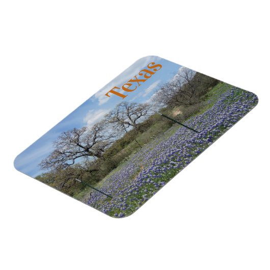 Texas State Flower Bluebonnets Magneet (Linkerzijde)