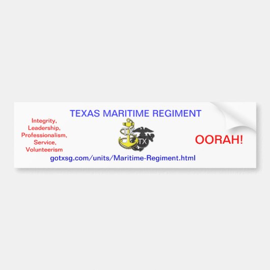 Texas State Guard Bumpersticker (Voorkant)