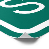 Texas State Line Road Sign Poster (Hoek)