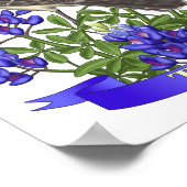 Texas State Mockingbird & Bluebonnet Flower Poster (Hoek)