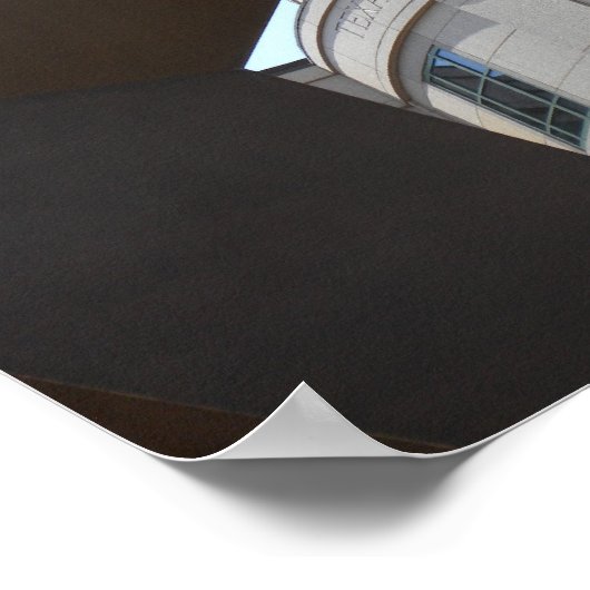 Texas State Star & Texas State Museum Poster (Hoek)