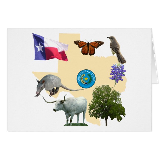 Texas State Symbols (Voorkant Horizontaal)