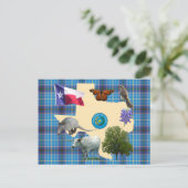 Texas State Symbols Briefkaart (Staand voorkant)