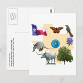 Texas State Symbols Briefkaart (Voorkant / Achterkant)