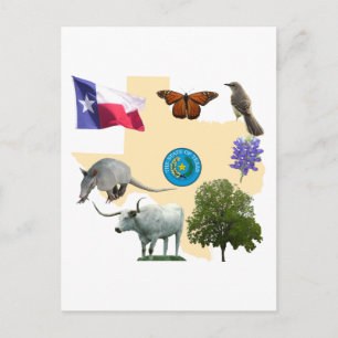 Texas State Symbols Briefkaart