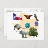 Texas State Symbols Briefkaart (Voorkant / Achterkant)