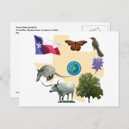 Texas State Symbols Briefkaart (Voorkant / Achterkant)