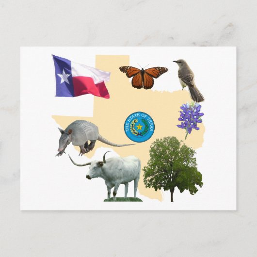 Texas State Symbols Briefkaart (Voorkant)