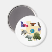 Texas State Symbols Magneet (Voorkant / Achterkant)