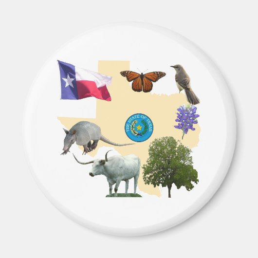 Texas State Symbols Magneet (Voorkant)