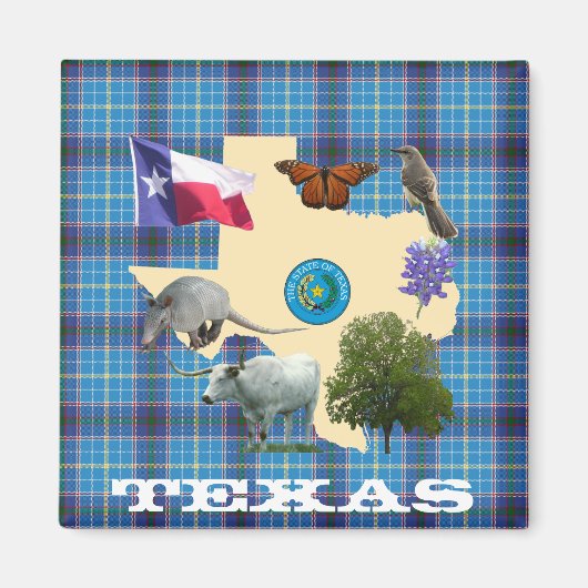 Texas State Symbols Magneet (Voorkant)