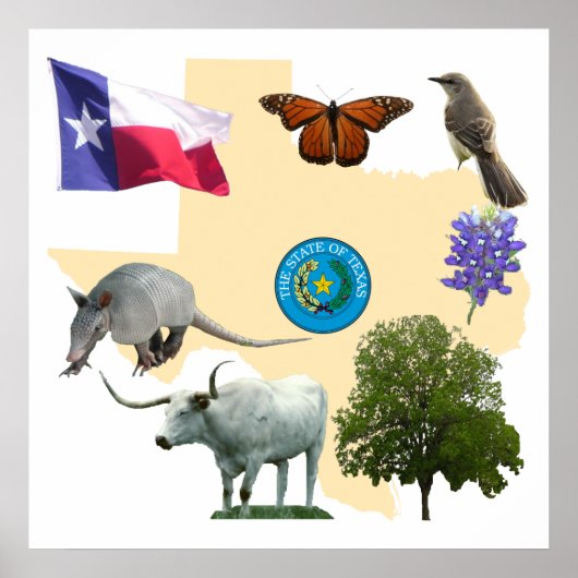Texas State Symbols Poster (Voorkant)