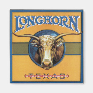 Texas Steer Longhorn Magneet