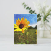 Texas Sunflower door Jill Briefkaart (Staand voorkant)