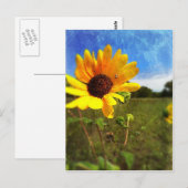 Texas Sunflower door Jill Briefkaart (Voorkant / Achterkant)
