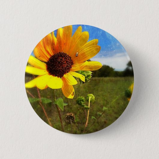 Texas Sunflower door Jill Ronde Button 5,7 Cm (Voorkant)