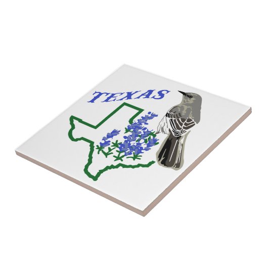 Texas Tegeltje (Zijkant)