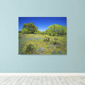Texas, Texas Hill Country, Lage blaaskruid, Canvas Afdruk (Insitu (Houten vloer))