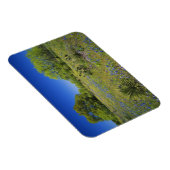 Texas, Texas Hill Country, Lage blaaskruid, Magneet (Rechterzijde)