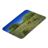 Texas, Texas Hill Country, Lage blaaskruid, Magneet (Linkerzijde)