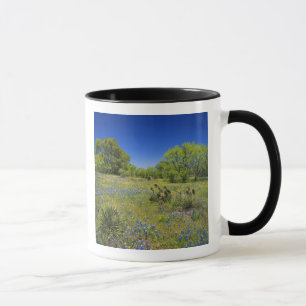 Texas, Texas Hill Country, Lage blaaskruid, Mok