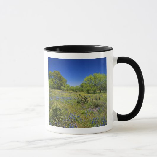 Texas, Texas Hill Country, Lage blaaskruid, Mok (Rechts)